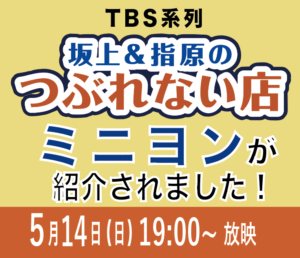 【5/14(日)放送】TBS系「坂上＆指原のつぶれない店」にミニヨンが紹介されました！